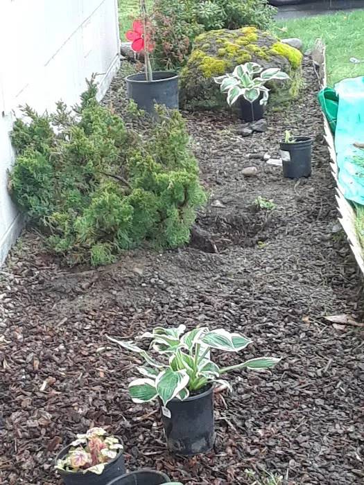 Glendale Mobile Home Park Picture 2