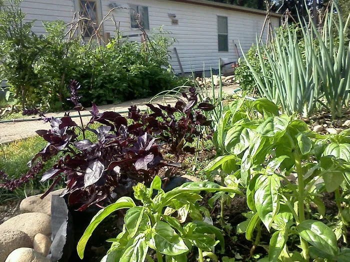 Evergreen Acres Mobile Home Park Picture 8