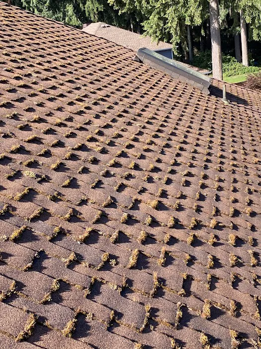 Evergreen Acres Mobile Home Park Picture 10