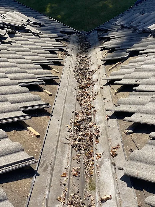 Evergreen Acres Mobile Home Park Picture 3