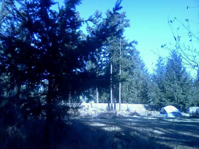 Evergreen Acres Mobile Home Park Picture 9