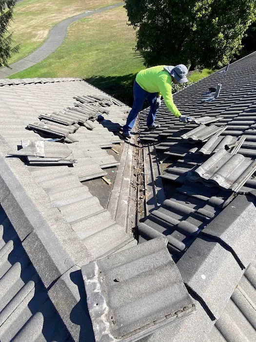 Evergreen Acres Mobile Home Park Picture 7