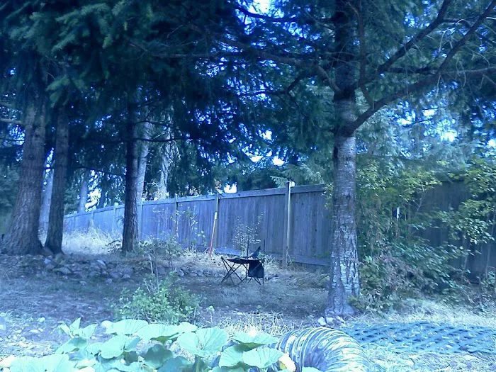 Evergreen Acres Mobile Home Park Picture 6