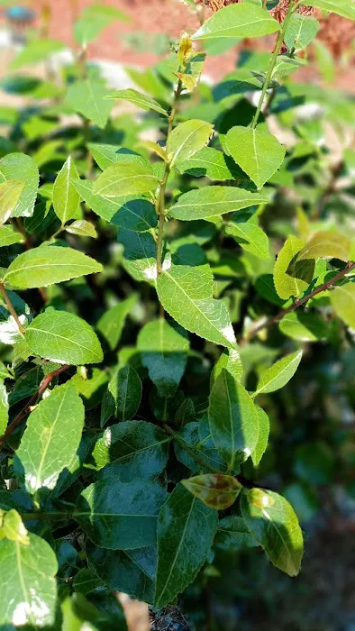 Deer Run Mobile Home Park Picture 2