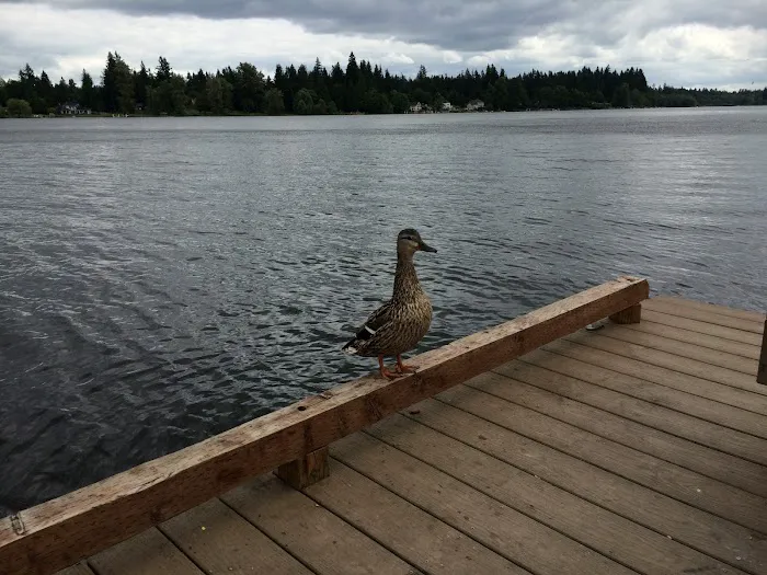 Salmon Shores RV Park LLC Picture 9