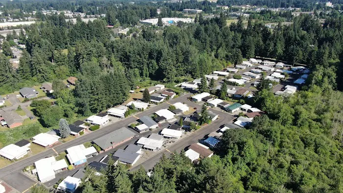 Western Plaza Picture 6