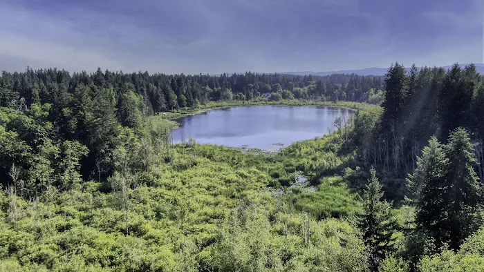 Western Plaza Picture 7