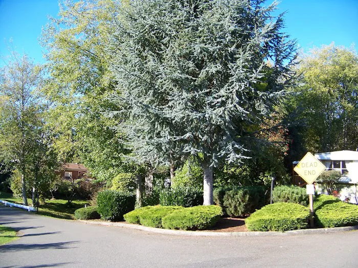 Alderbrook Estates dba Alderbrook Mobile Home & RV Park Picture 8