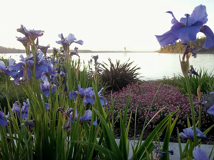 Alderbrook Estates dba Alderbrook Mobile Home & RV Park Picture 2