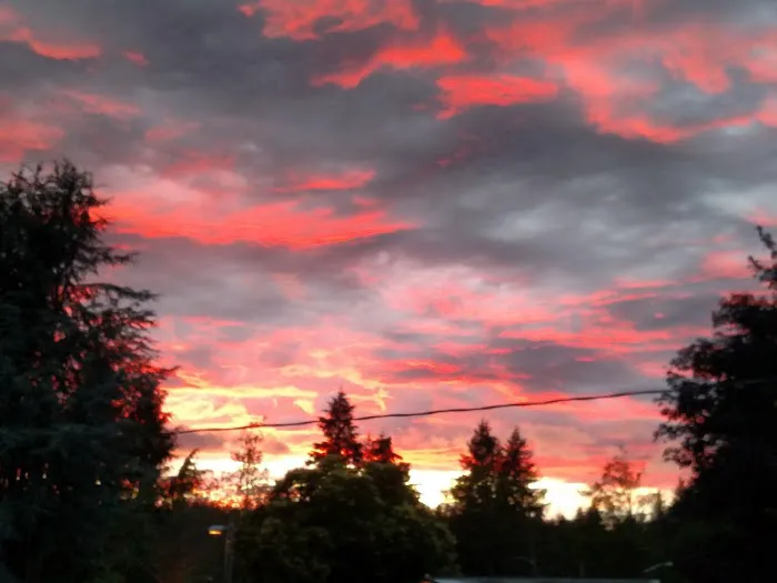 Alderbrook Estates dba Alderbrook Mobile Home & RV Park Picture 4