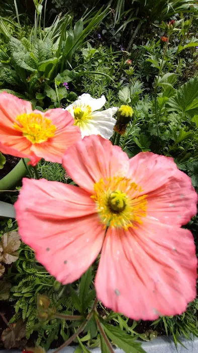 Tumwater Mobile Estates Picture 9