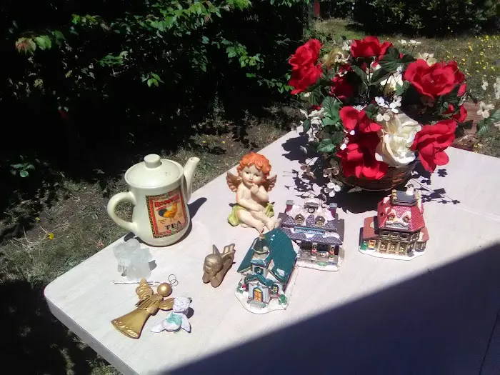 Tumwater Mobile Estates Picture 8