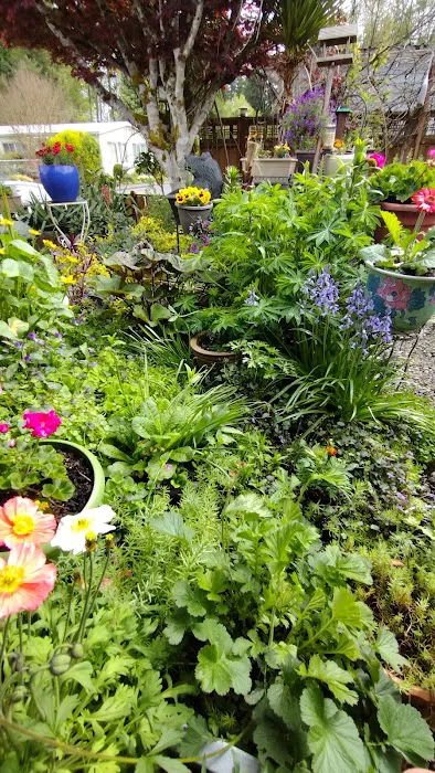 Tumwater Mobile Estates Picture 5