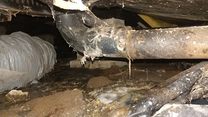 Tumwater Mobile Estates Picture 4