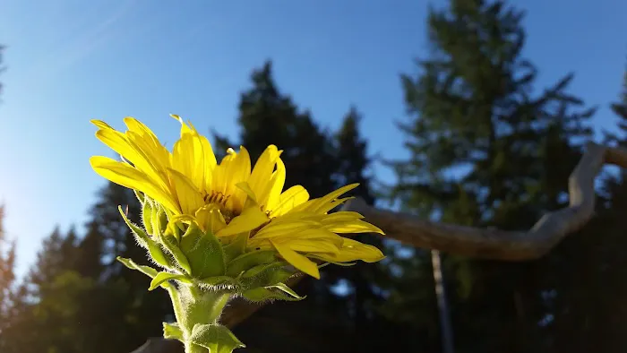 Coach Post Mobile Home Park Picture 1