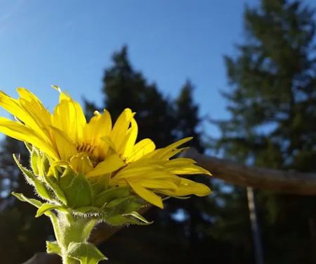 Coach Post Mobile Home Park