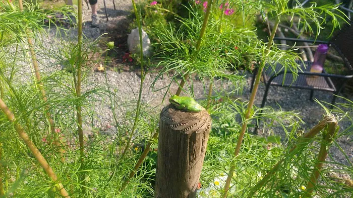 Coach Post Mobile Home Park Picture 4