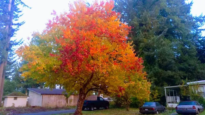 Coach Post Mobile Home Park Picture 9