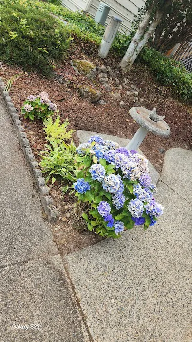 Friendly Ridge, 55+ Manufactured Home Community Picture 3