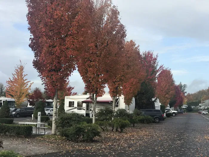 Salem Premier RV Resort Picture 10