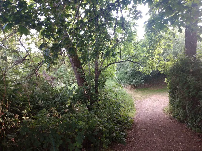 Salem Premier RV Resort Picture 7