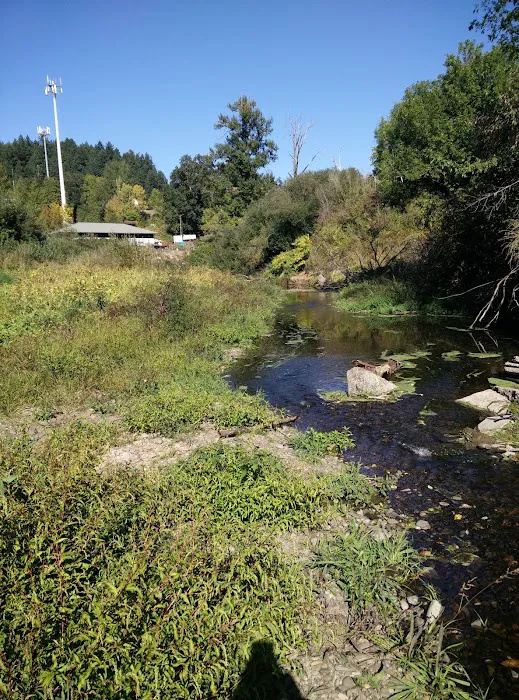 Salem Premier RV Resort Picture 2