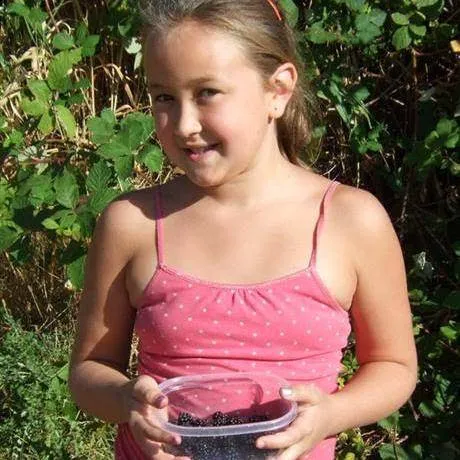 Salem Premier RV Resort Picture 8