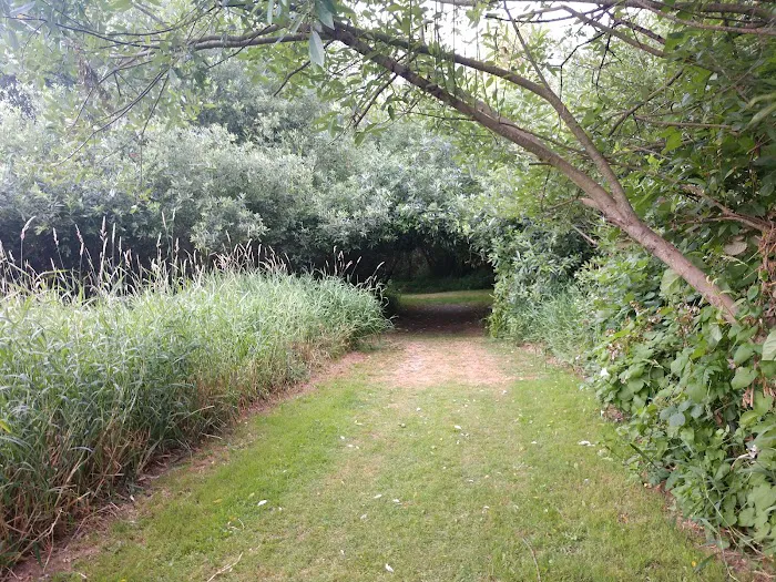 Salem Premier RV Resort Picture 6