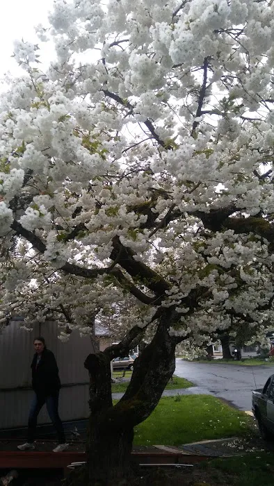 Jefferson Mobile Acres Picture 1