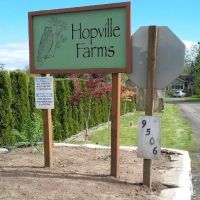 Cherry Blossom Farm Estates ico