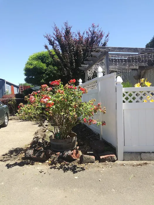 Independence MH & RV Park (RV Spaces Available) Picture 1