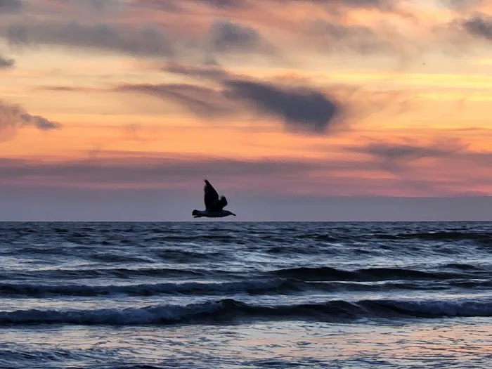 Cranberry Moon - RV Oasis Picture 3