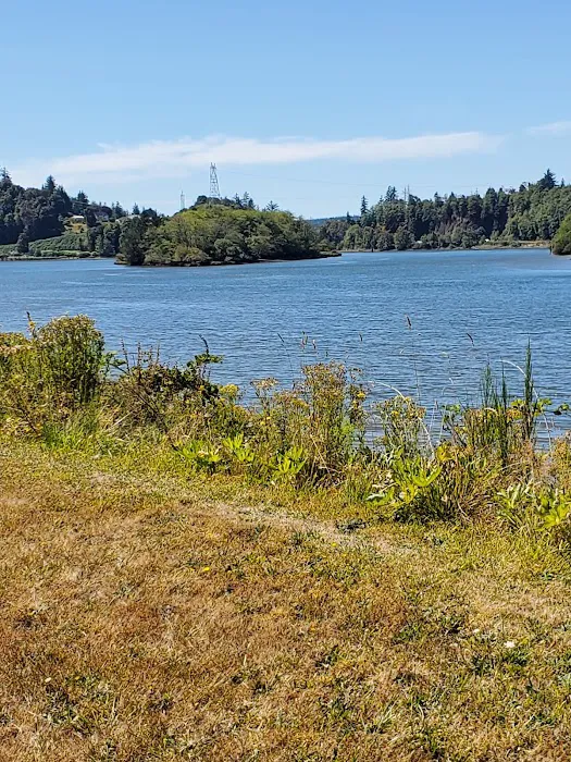 Raymond RV Park Picture 4