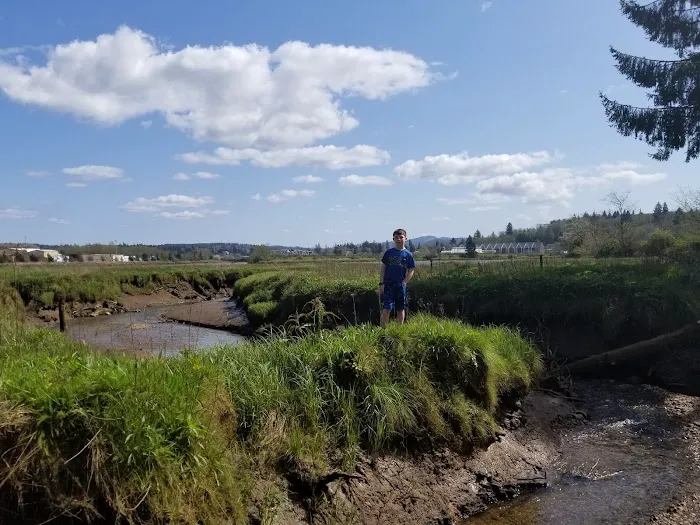 Timberland RV Park Picture 1