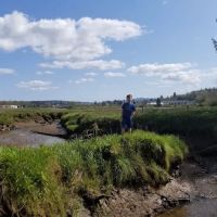 Timberland RV Park ico