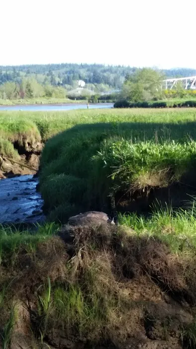 Timberland RV Park Picture 5