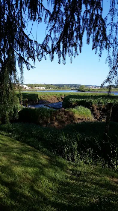 Timberland RV Park Picture 8