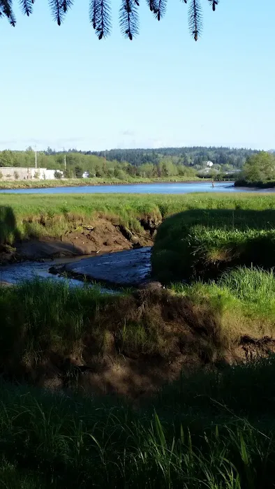 Timberland RV Park Picture 4