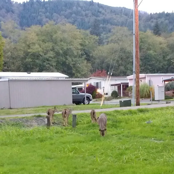 Timberland RV Park Picture 10