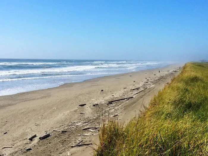 Hammond RV Park Picture 5