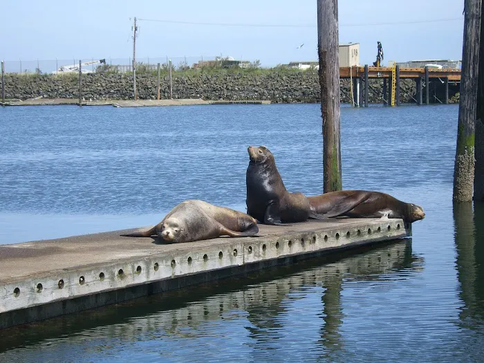 Hammond RV Park Picture 3