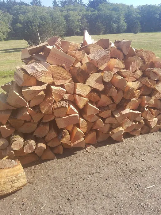 American Sunset RV & Tent Resort Picture 10