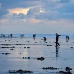 American Sunset RV & Tent Resort