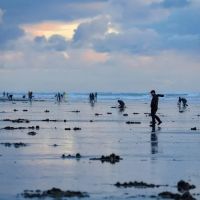 American Sunset RV & Tent Resort ico