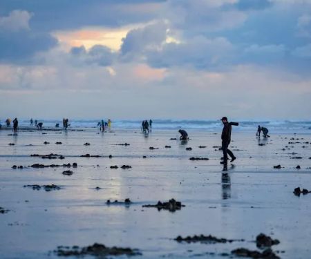 American Sunset RV & Tent Resort