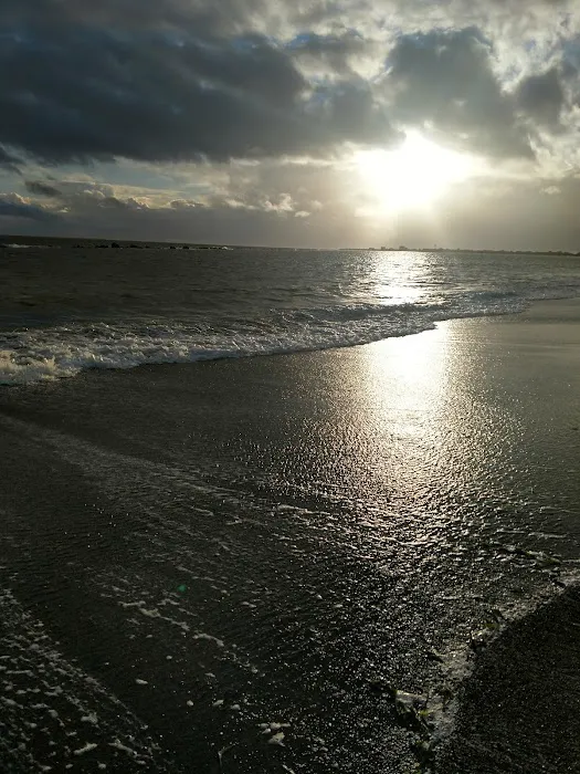 Quinault Marina & RV Park Picture 2