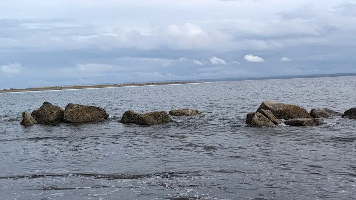 Quinault Marina & RV Park Picture 3