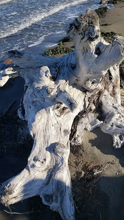 Quinault Marina & RV Park Picture 6