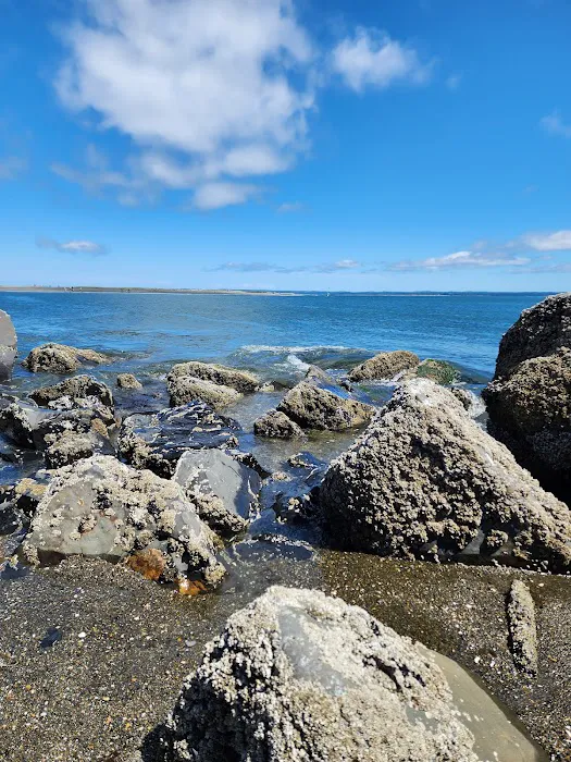 Quinault Marina & RV Park Picture 5