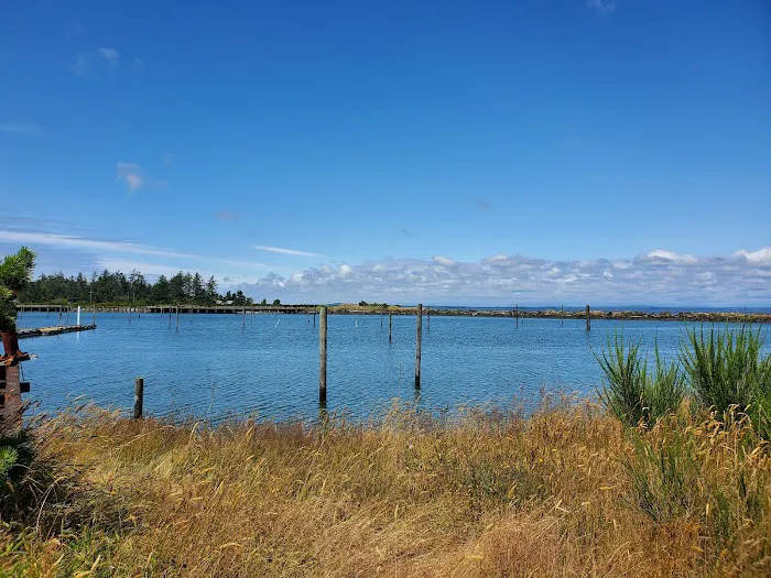 Quinault Marina & RV Park Picture 10